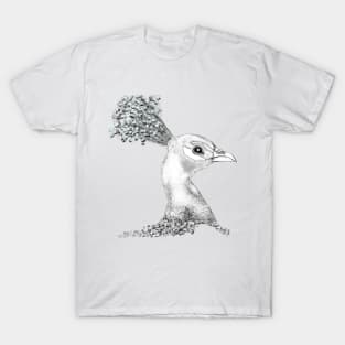 Graphic Peacock Illustration T-Shirt